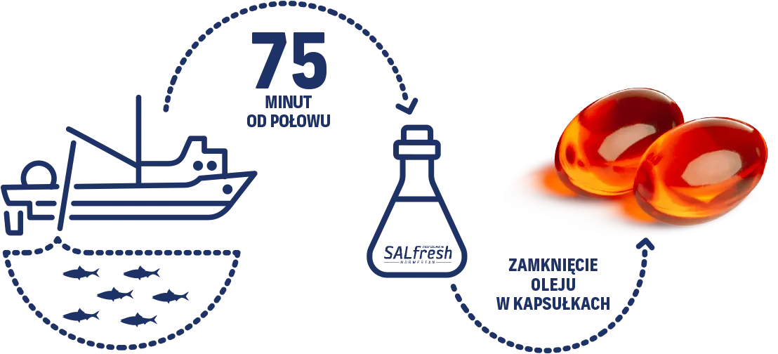 Natural Pharmaceuticals OmegaMarine™ Premium Schemat świeżości: do 75 minut od połowu – olej rybi SALfresh trafia do butli, a następnie jest zamykany w kapsułkach.